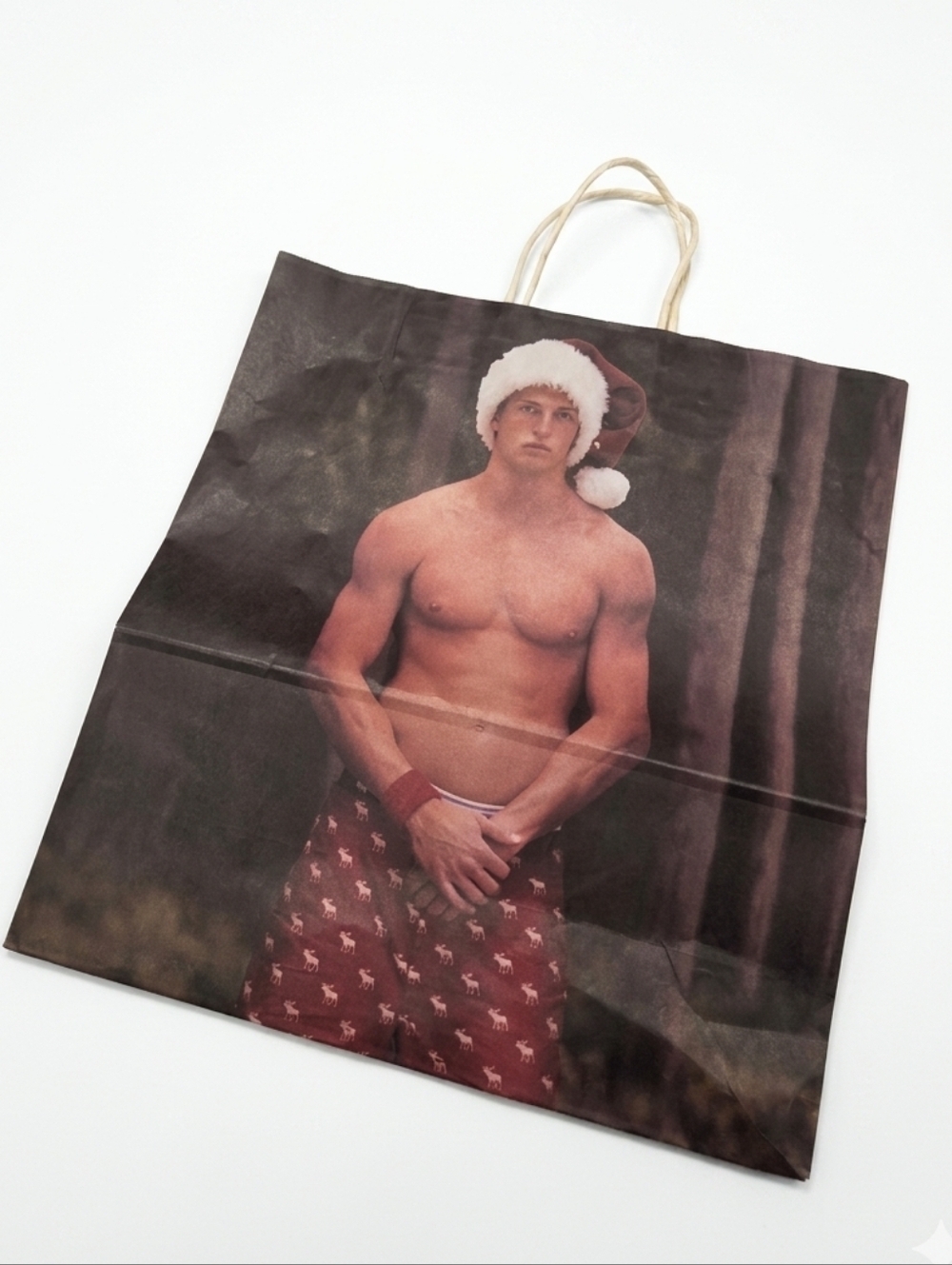 Rare Y2K Abercrombie & Fitch Holiday Bag Bruce Weber Photography Art Prop